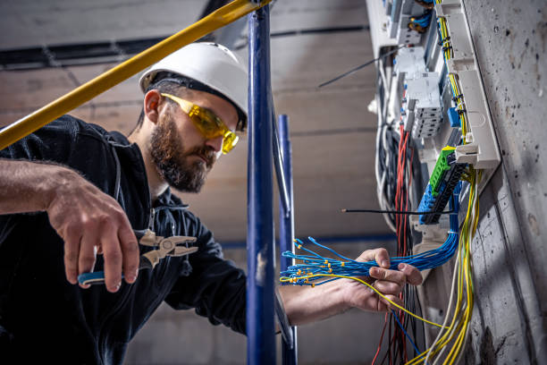 Best Electrical Outlet Repair  in Oakwood, IL