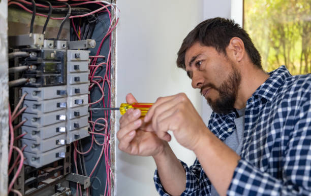 Best Electrical Repair Services  in Oakwood, IL